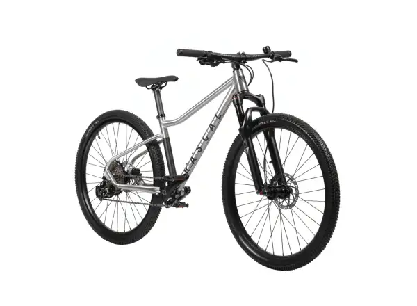 Rascal Wild 27 Limited detský bicykel Silver