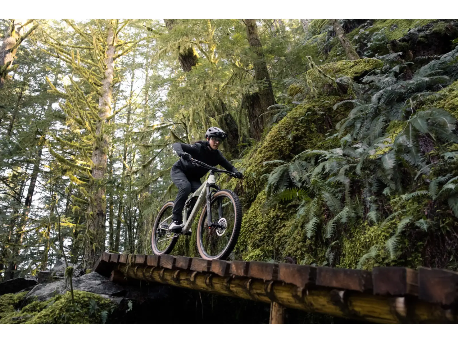 Liv Embolden 2026 horský bicykel Pale Moss