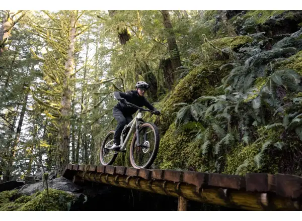 Liv Embolden 2026 horský bicykel Pale Moss
