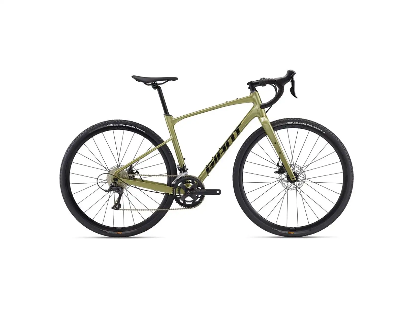 Giant Revolt 2 gravel bicykel Bay Leaf 