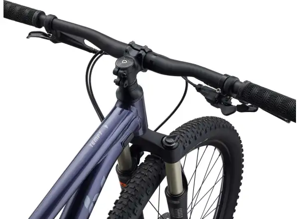 Liv Tempt 29 1 GE horský bicykel Milky Way