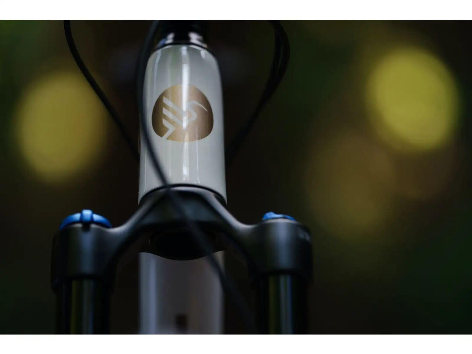 Ibis Exie V2 GX 29" horský bicykel bone