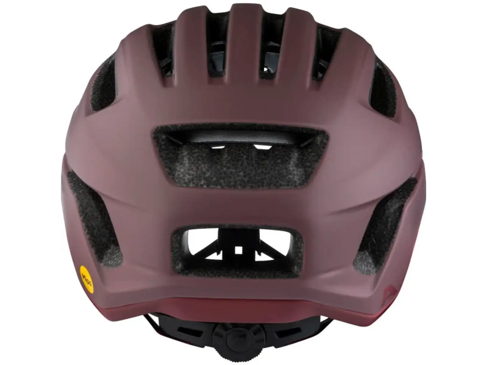 Alpina Paranus Mips prilba Raisin Matt