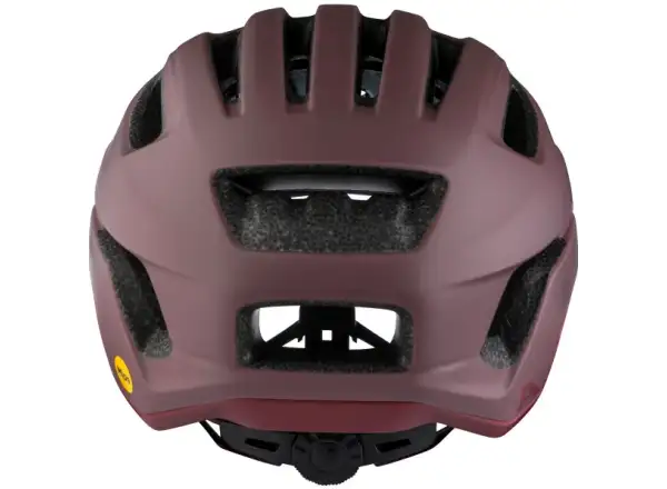 Alpina Paranus Mips prilba Raisin Matt