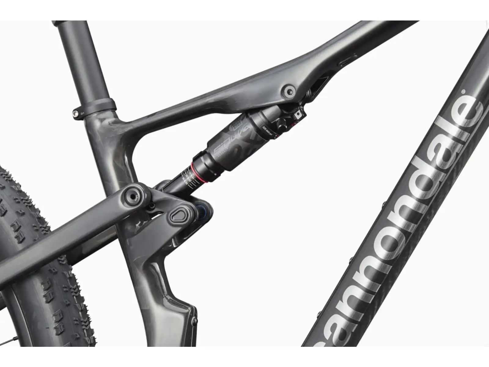 CANNONDALE SCALPEL 29" CARBON 1 (C24203U20/RRD)