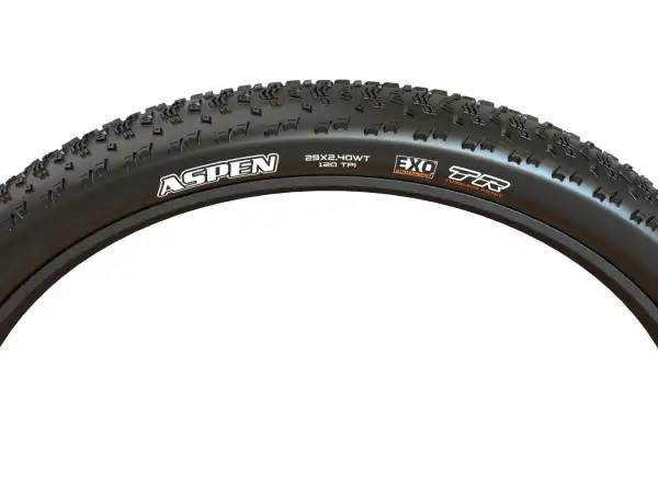 Maxxis Aspen MaxxSpeed ​​EXO TR 29" plášť kevlar