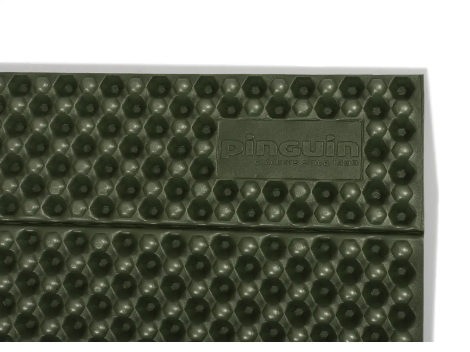 Pinguin Fold L skladacia karimatka Green