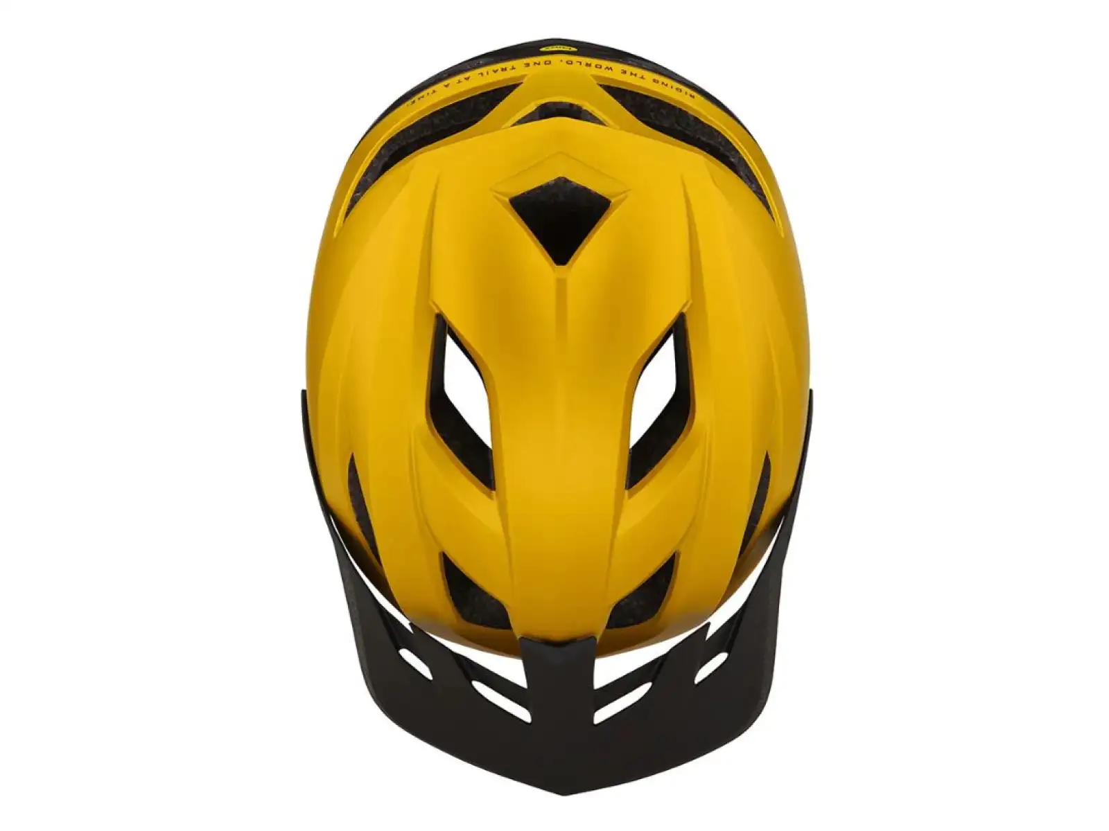 Troy Lee Designs Flowline MIPS prilba Orbit Gold/Black