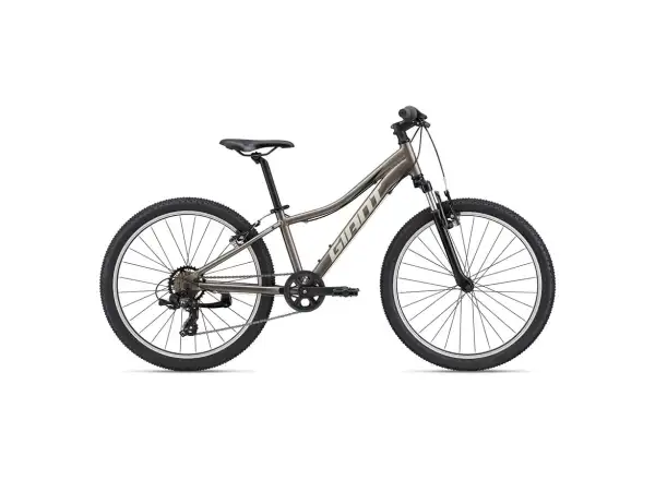 Giant XTC Jr 24 detský bicykel Metal