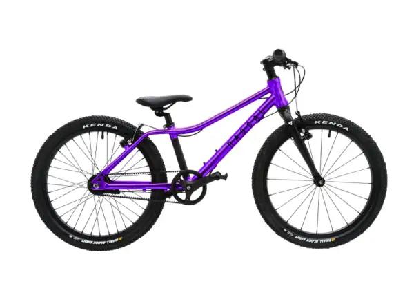 Rascal 20 detský bicykel Amethyst Limited