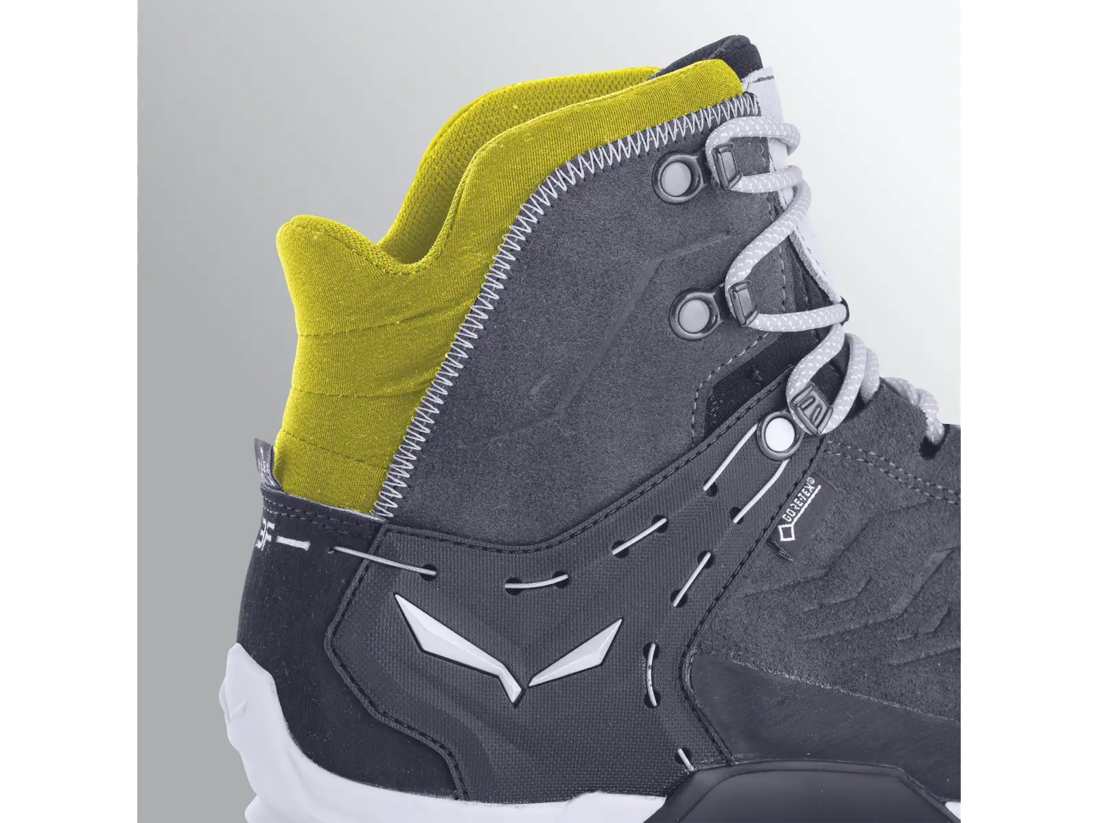 Salewa Alp Trainer 2 GTX pánske topánky Bungee Cord/Black