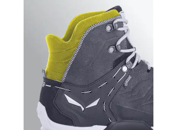 Salewa Alp Trainer 2 GTX pánske topánky Bungee Cord/Black