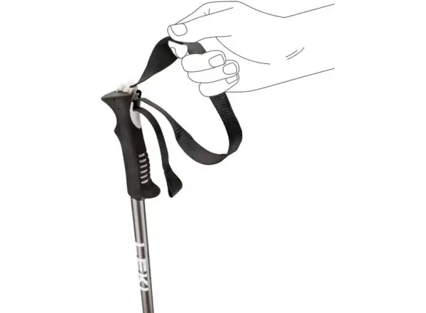 Leki Primacy zjazdové palice Black/Light Anthracite/White