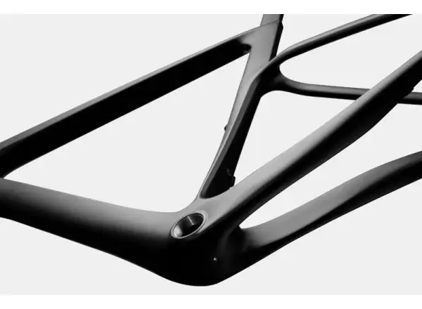 Cannondale SuperSix EVO Carbon 2 Compact Road Bike Raw
