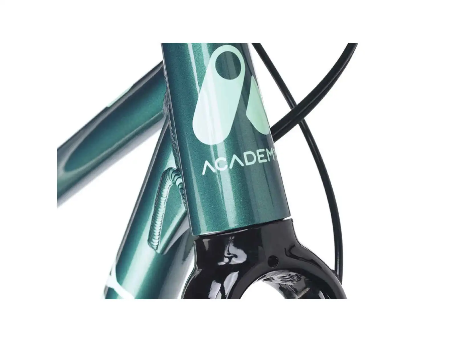 Academy S-Grade Gravel 5 detský bicykel 24" zelená