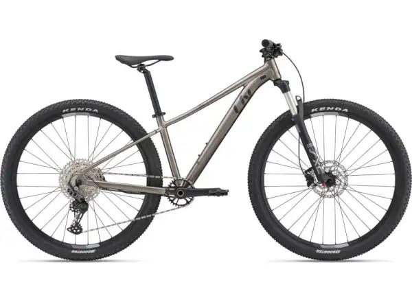 Liv Tempt 29 0 Metal 2022 horský bicykel