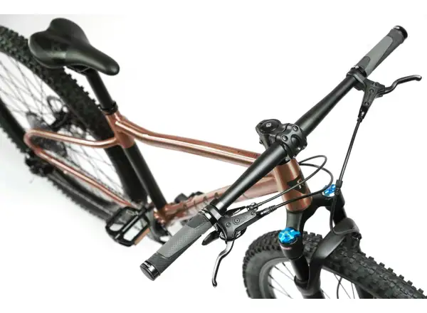 Rascal Wild 27 detský bicykel Bronze