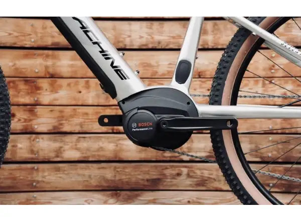 Horský bicykel Rock Machine Torrent INT e70-29 Gloss Silver/Black