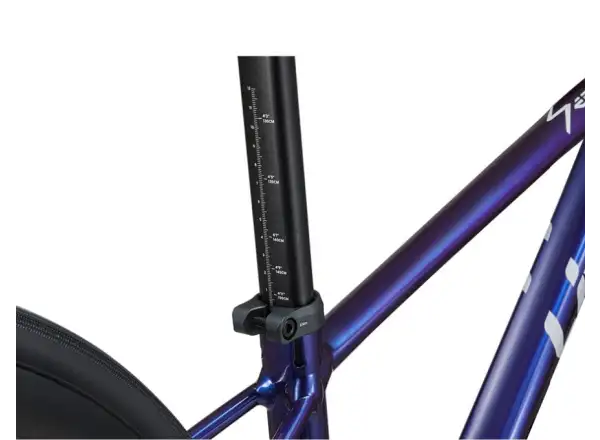 Liv Seek 2 detský cestný bicykel Purple Haze