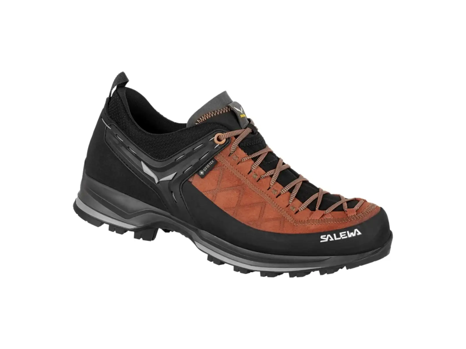 Salewa MTN Trainer 2 GTX MS pánske trekové topánky