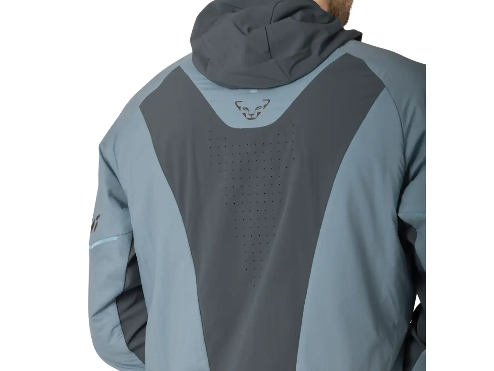Dynafit Mezzalama Polartec Alpha pánska bunda Smoke Blue