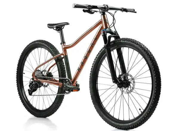Rascal Wild 27 detský bicykel Bronze