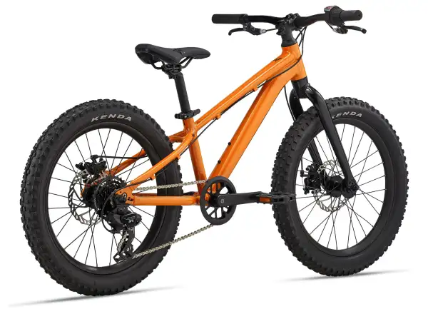 Giant STP 20 detský bicykel Sandstorm