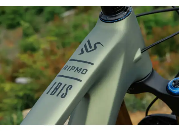 Ibis Ripmo V3 Eagle 90 horský bicykel Olive Swamp Monster