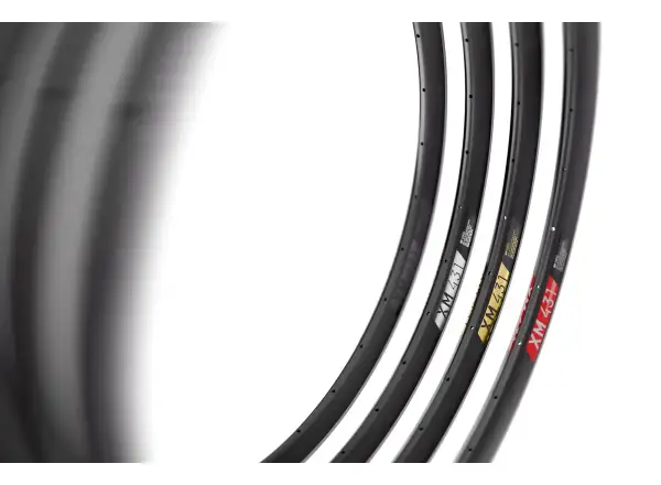 DT Swiss XM 431 29" MTB ráfik čierna