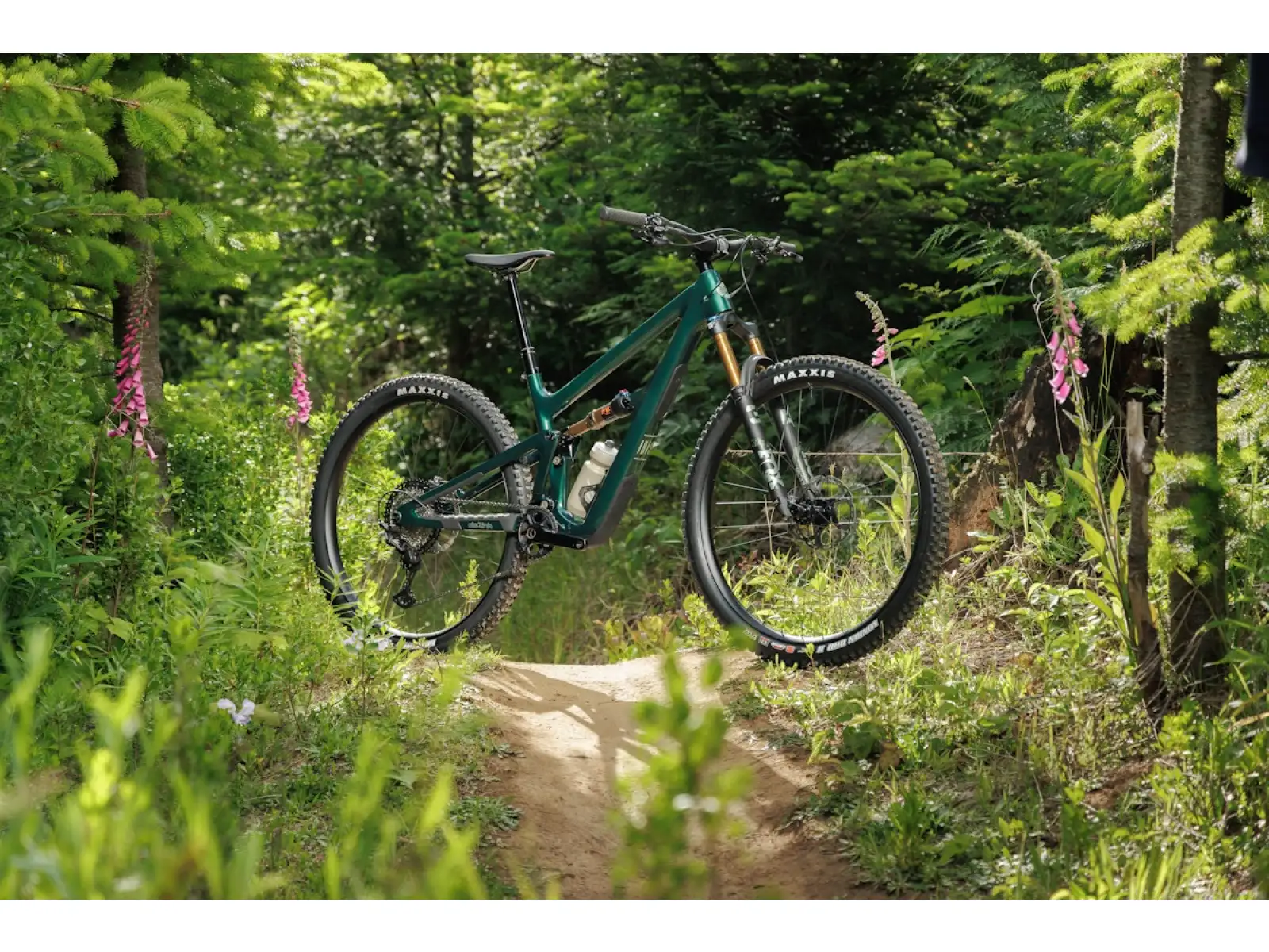 Ibis Ripley V5 rámový set Zelený záblesk.