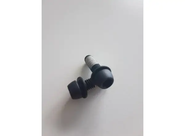 Sram Mounting Bolts oceľové skrutky ku strmeňu 2 ks