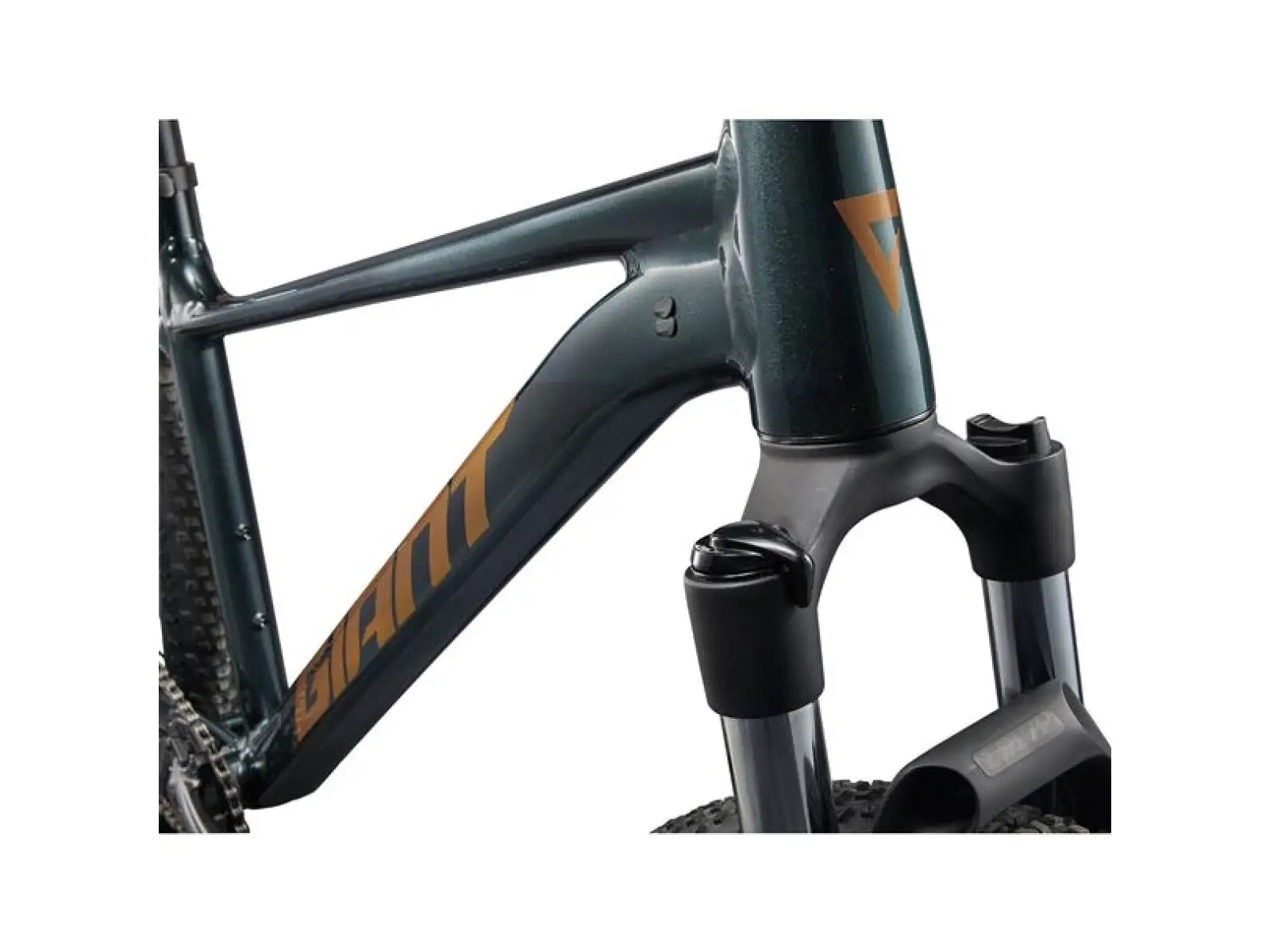 Giant Talon 29 2 horský bicykel Asphalt Green
