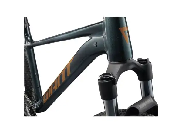 Giant Talon 29 2 horský bicykel Asphalt Green
