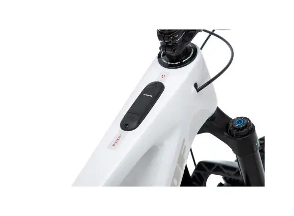 Nukeproof Megawatt 297 Carbon X0 Eagle-T elektrobicykel