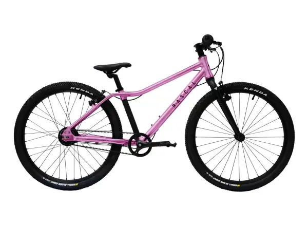 Rascal 24 7 sp. Shimano Nexus detský bicykel Raspberry