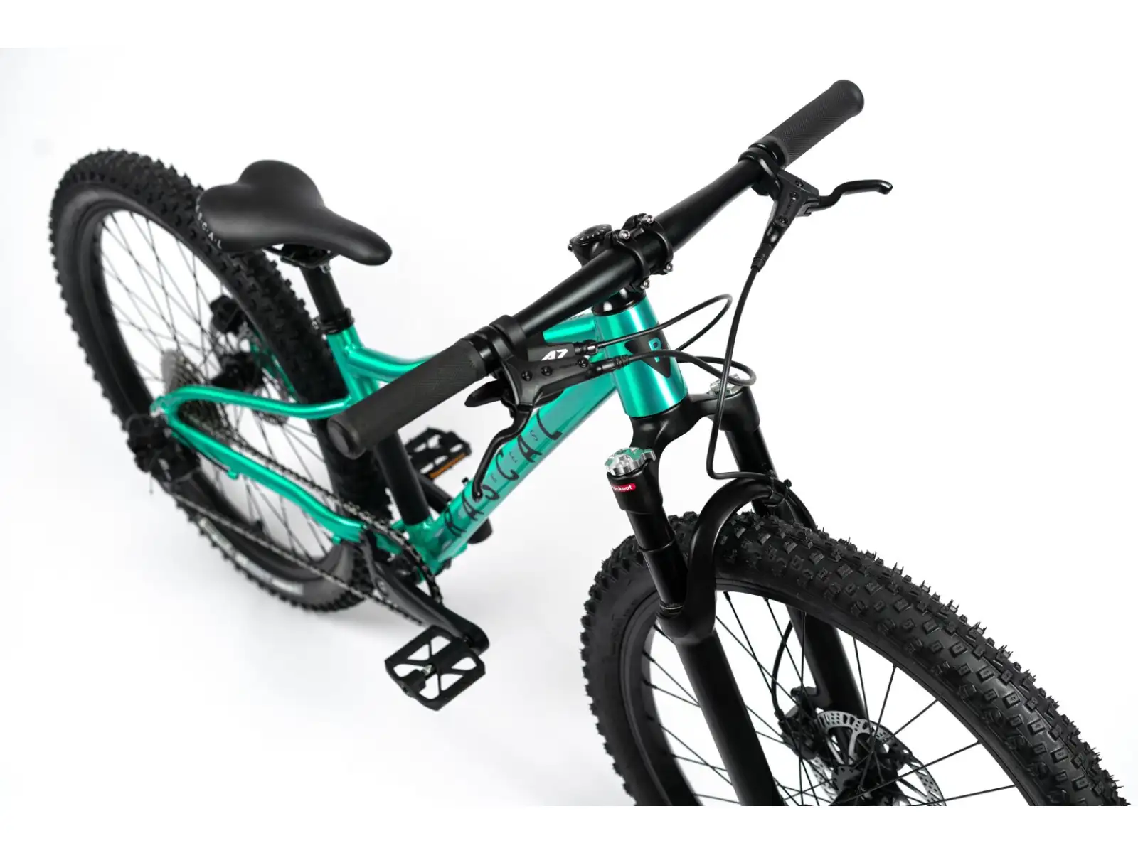 Rascal Wild 24 detský bicykel Emerald