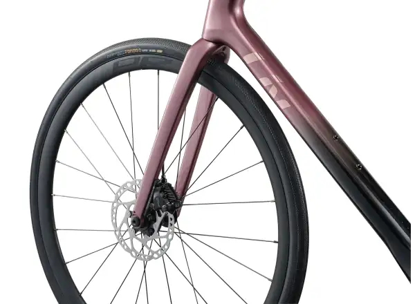 Liv Avail Advanced 1 cestný bicykel Iron Rouge/Carbon
