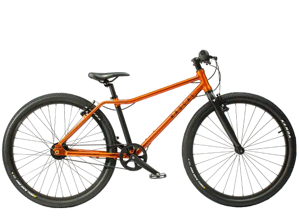 Rascal 26 Flame 5 sp. Sturmey Archer detský bicykel