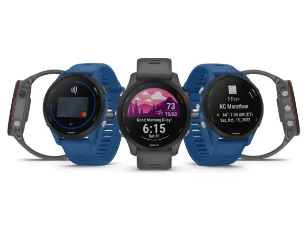Garmin Forerunner 255 inteligentné hodinky Slate Gray