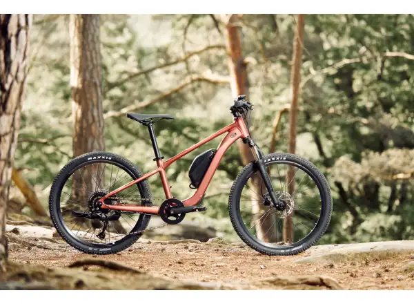Giant Talon E+ Junior 24 detský elektrobicykel Terracotta