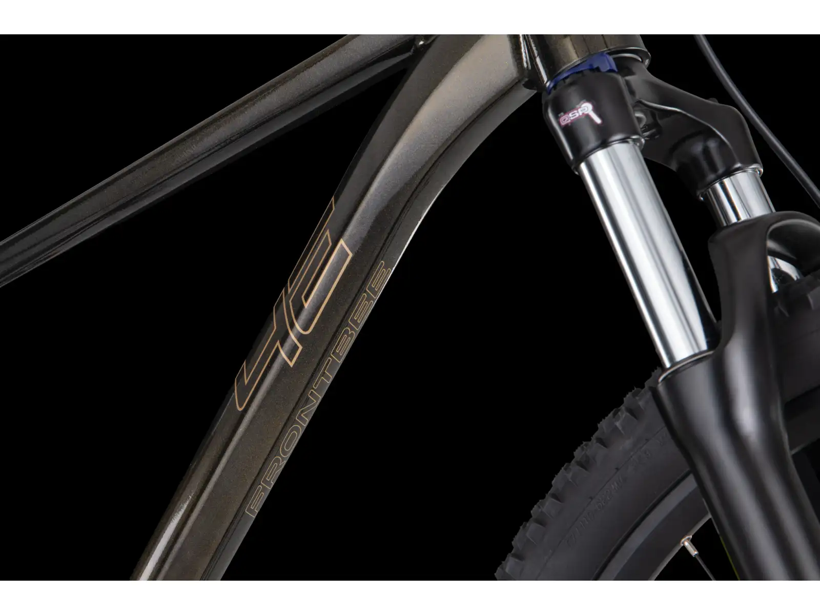 4Ever Frontbee XCM 29" horský bicykel Gold galaxy