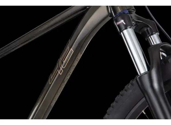 4Ever Frontbee XCM 29" horský bicykel Gold galaxy