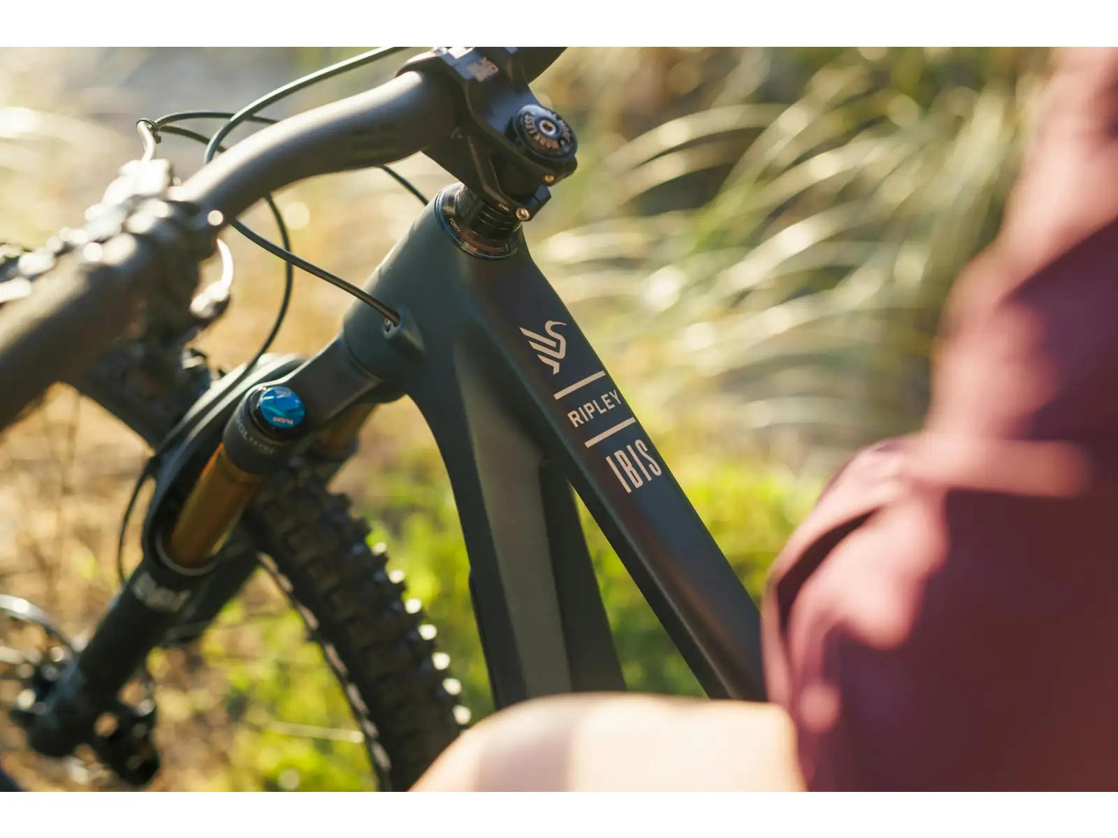 Ibis Ripley V5 Eagle 90 horský bicykel Blue Hour