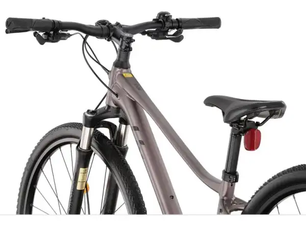 Liv Rove 1 DD dámsky trekingový bicykel Dark Eclipse