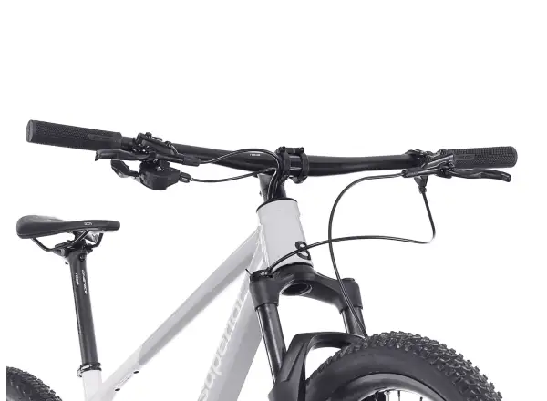 Superior XP 6.2 horský bicykel Gloss Grey