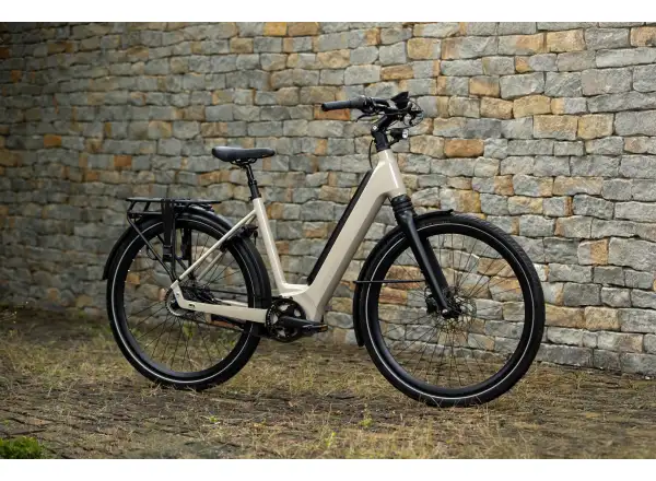 Superior eWAY 6.45 mestský elektrobicykel Gloss Dust