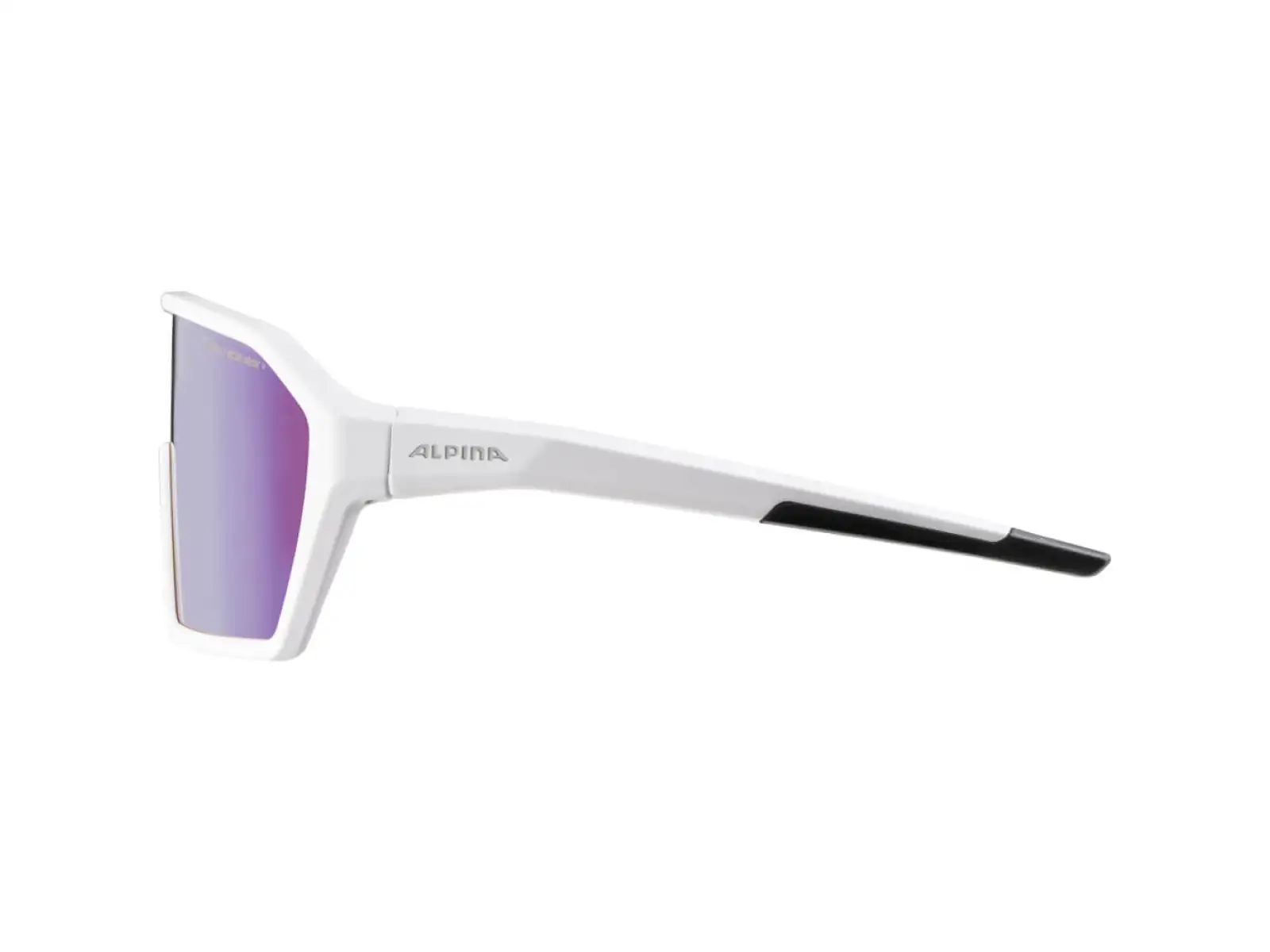 Alpina Ram Q-Lite V slnečné okuliare White Matt