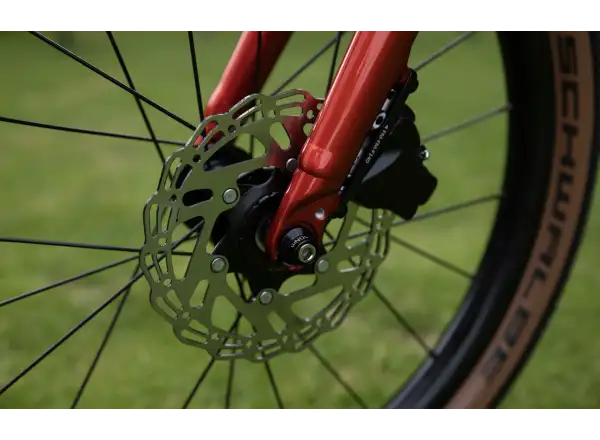 Superior TEAM 20 detský bicykel Gloss Brushed Alu / Red