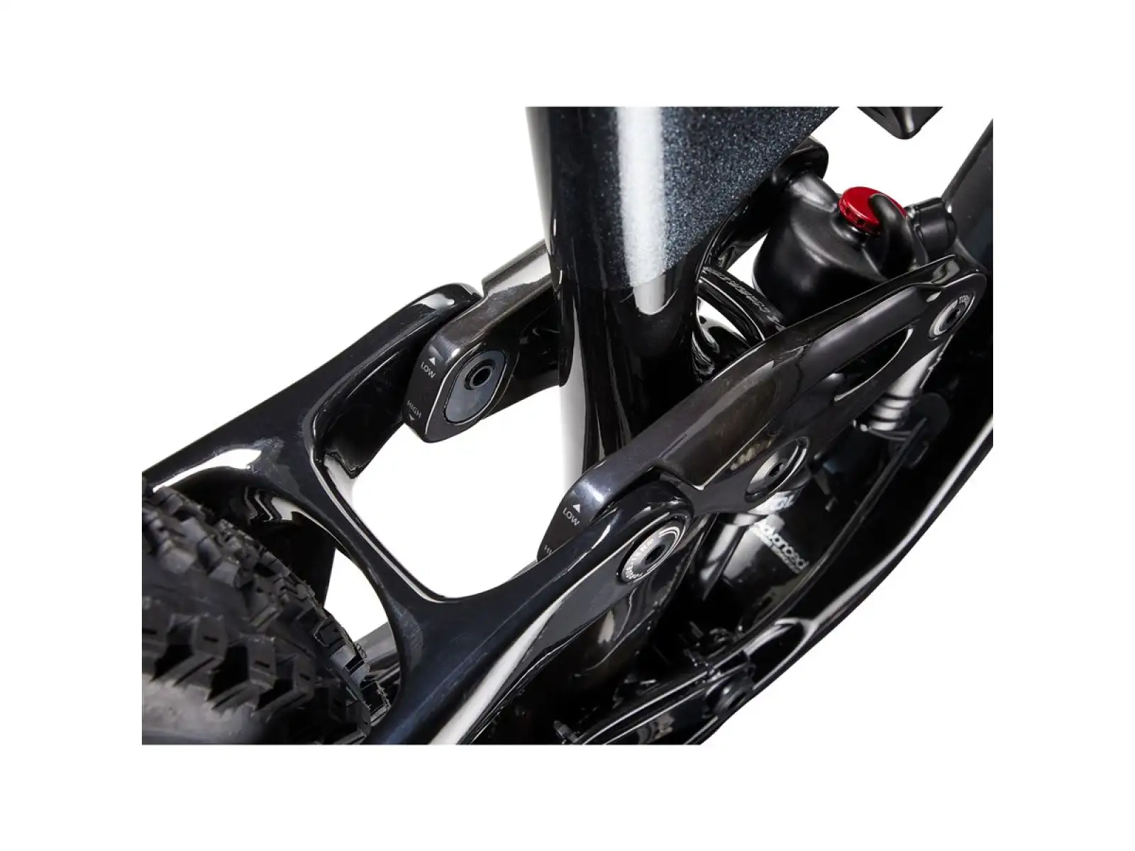 Giant Trance Advanced Pro 29 1 horský bicykel carbon/black diamond