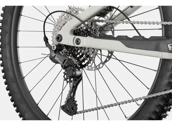 Cannondale Moterra 3 celoodpružený elektrobicykel Chalk